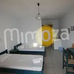 Mimoza *