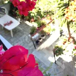 Mimoza *