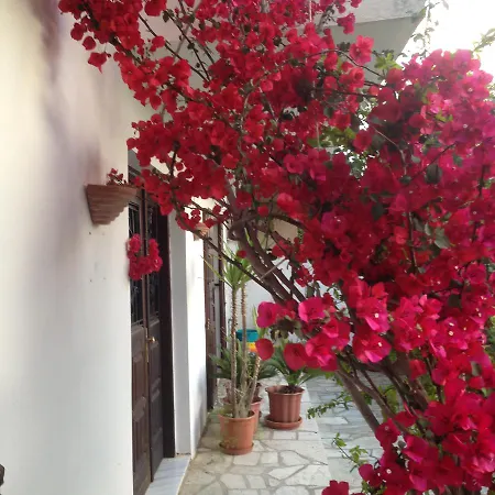 Mimoza