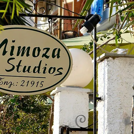 Mimoza スキアトスタウン
